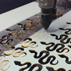 Acrylic laser cutting South Africa Big 5 Products George clean flame polished edge